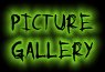 Picture Gallery